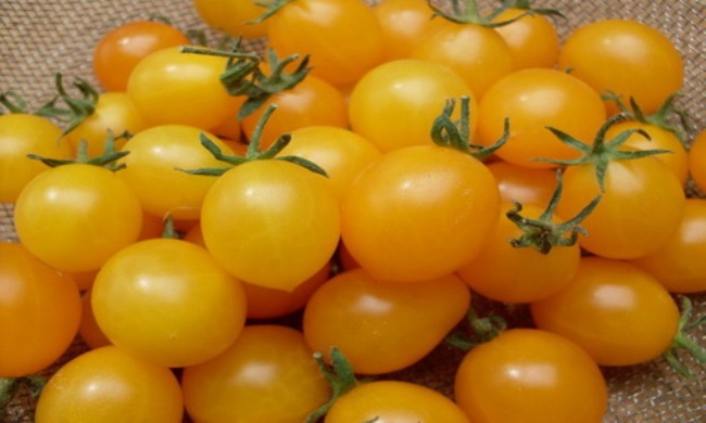 Вяленые помидоры польза вред